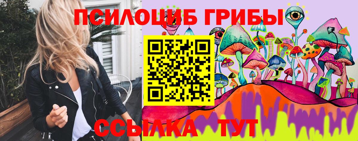 Галлюциногенные грибы Psilocybe  Вход с VPN  Славянск-на-Кубани  где купить наркоту  Псилоцибиновые грибы Psilocybe 